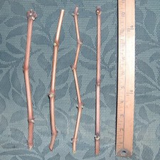 葡萄切割/树叶水果和果树| eBay