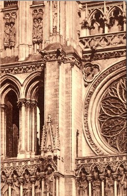 French Gothic Cathedral Stonework & Gargoyles Postcard c. 1910 Notre-Dame