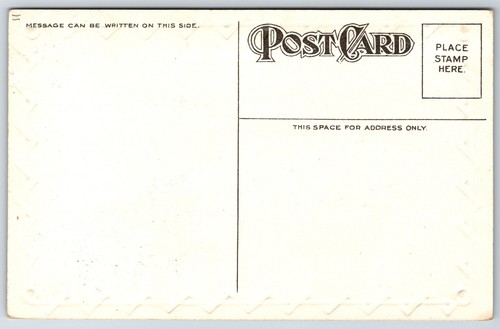 Comic Pictograph~May Your Future Be as Lively as a Cat on Hot Bricks~c1910 PC - Picture 2 of 2