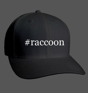 raccoon baseball cap