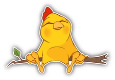 Cute Cartoon Chicken Relax Car Bumper Sticker Decal
