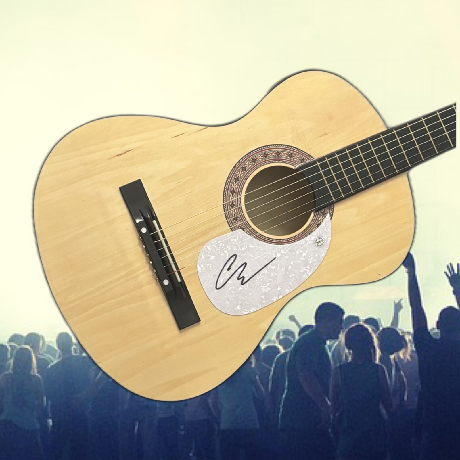 GFA Comprar Me A Barco País Estrella Chris Janson Firmado Acústica Guitarra COA