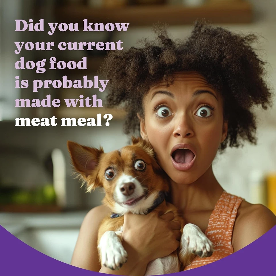 Comida vegana holística para perros Halo, receta a base de plantas con algas, comida seca para perros, completa Foto 3 de 4