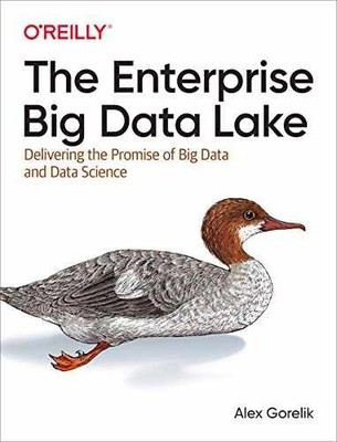 The Enterprise Big Data Lake: - Paperback, by Gorelik Alex - Very Good