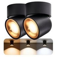 2X Ayona Spot Schwenkbar IP54 5W Drei Einstellbaren Lichtfarben 3CCT Deckenlampe