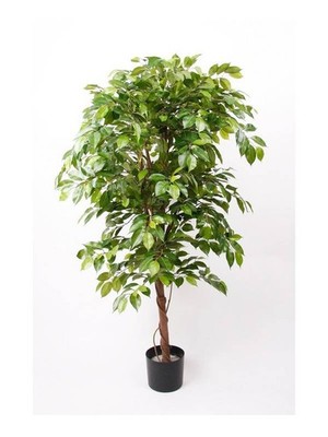artplants Kunstbaum Ficus Benjamini Bartolo, Echtstamm, grün, 200cm