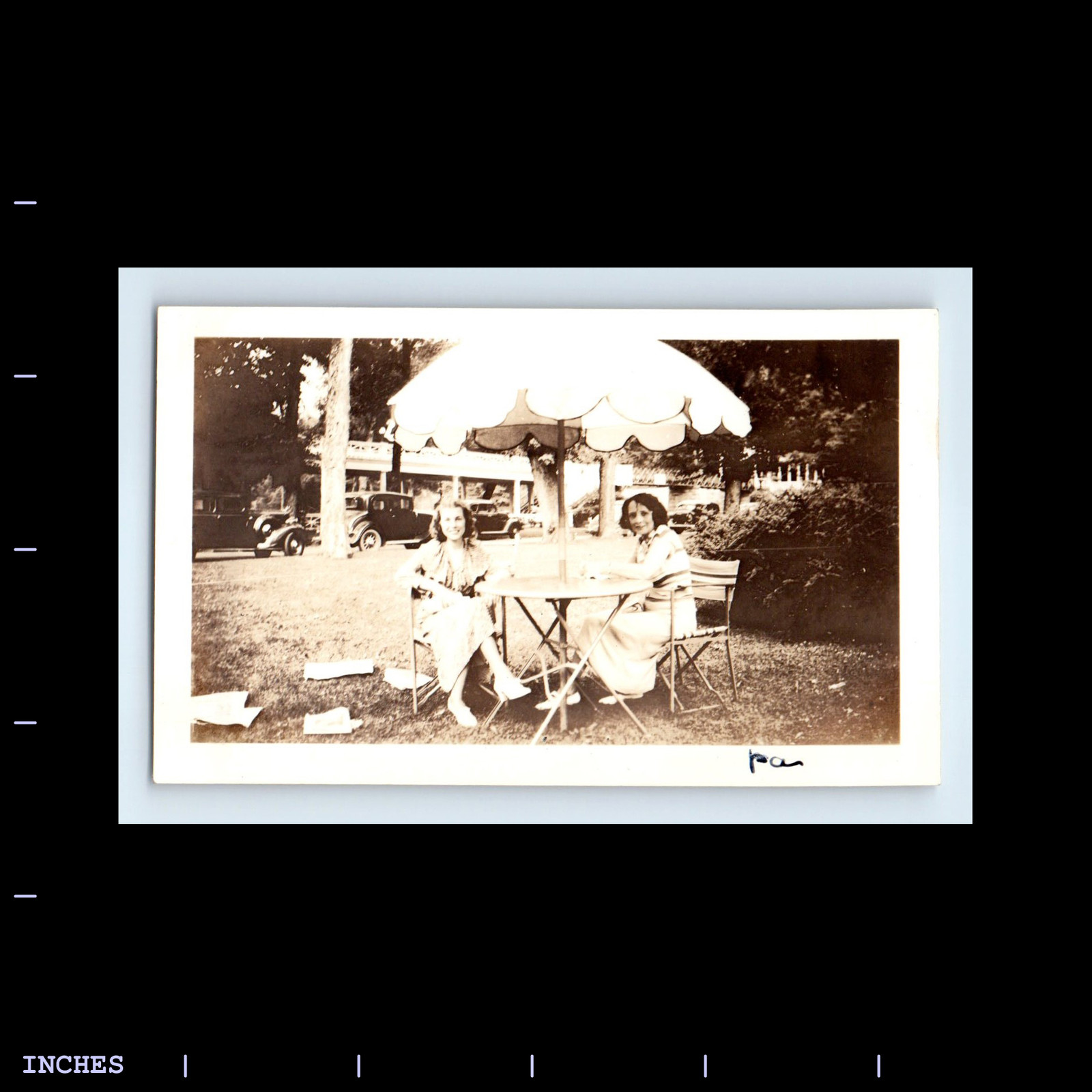 Vintage Photo Women Under Patio Umbrella with Classic Cars in Pennsylvania
