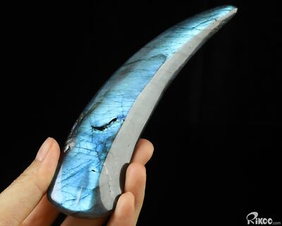 5.7'' Labradorite Hand Carved Crystal Smilodon SABER-TOOTHED Tiger/Cat Tooth 