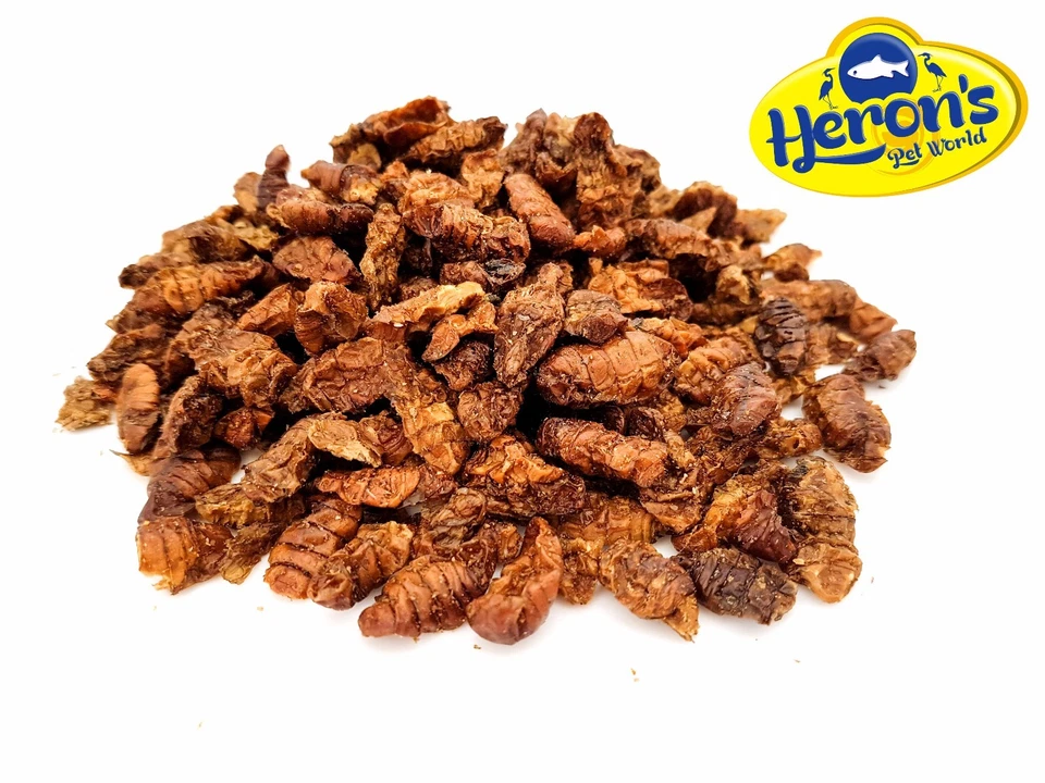HERONS Natural Dried Silkworm Pupae LARGE TROPICAL FISH CICHLID KOI FISH FOOD