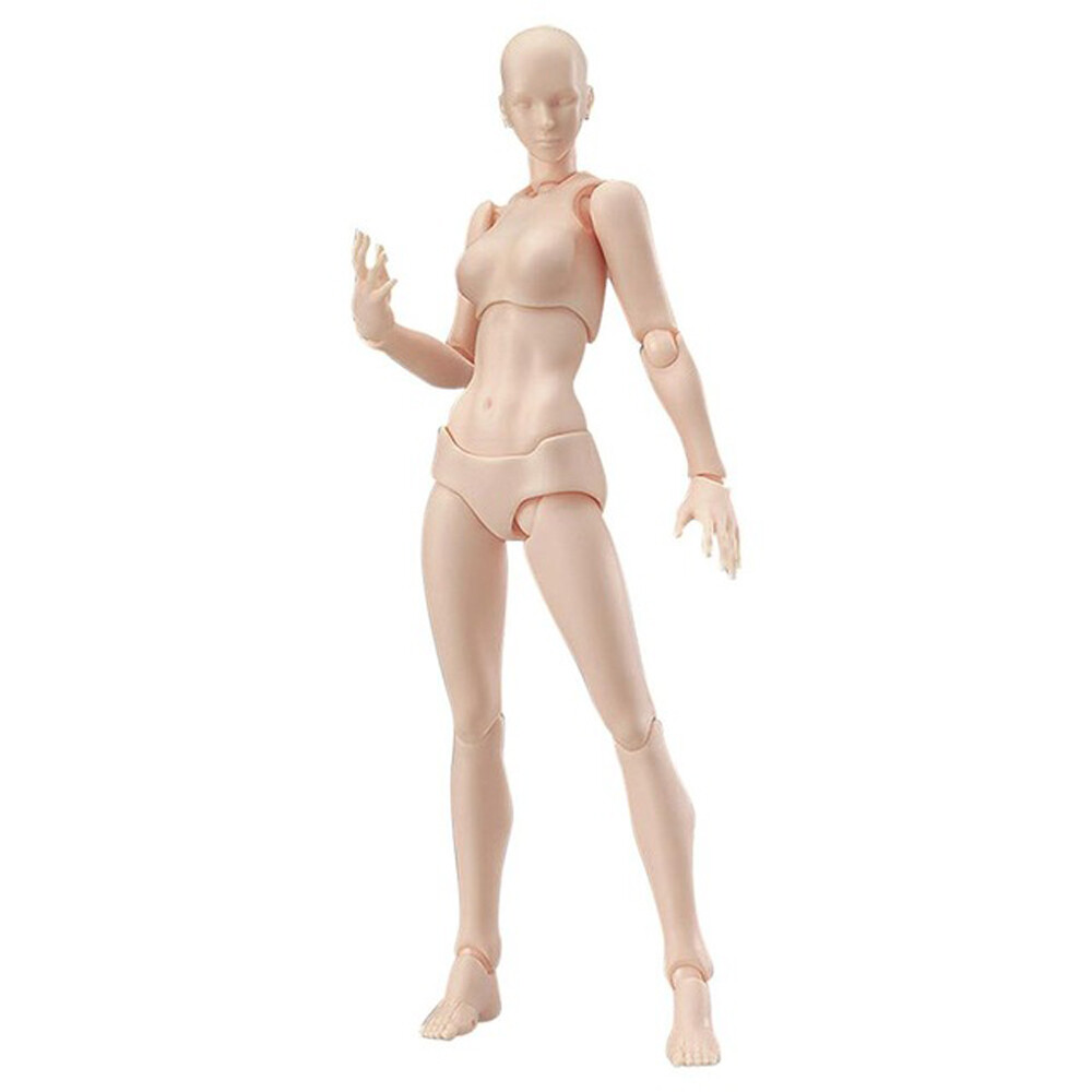 S For Artists Action Figure Model Human Mannequin Action Toy
