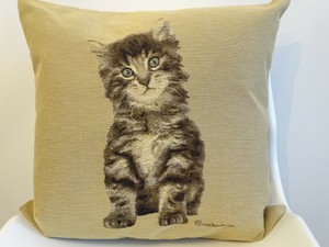 cushions for cats
