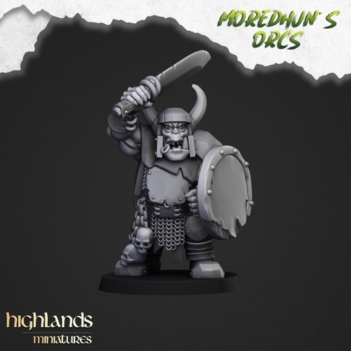 Orc With Spears x 20 inc command Highlands miniatures WFB The Old World , AOS - Picture 8 of 9