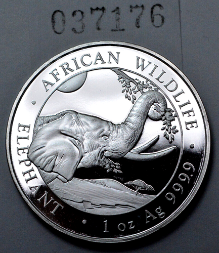 2023 Somali Elephant 1 oz 9999 Silver Coin Round 100 Shillings African Wildlife - Picture 4 of 4