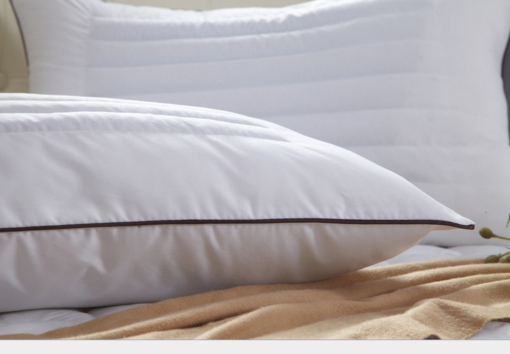 Home Pillow Luxury Soft Bed Buckwheat Pillow Dust Mite Resistant &Hypoallergenic eBay