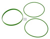 O-Ring Satz DT Spare Parts 1.31066 D:1355Mm D1:1405Mm