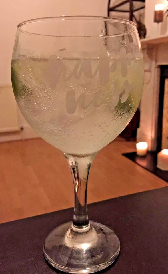 2x Gin and Tonic cocktail red wine balloon glasses 650ml EMOTIONS