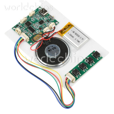 Type-C 8M Recordable Sound Module Greeting Card Music Box Sound Module ...