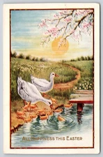 Country Field Pond Ducks Ducklings All Happiness This Easter Postcard Unposted