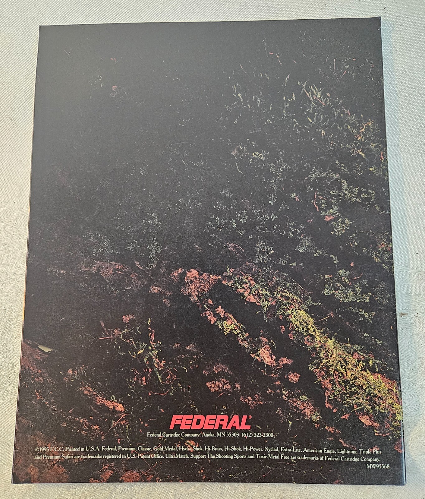 Photo 7/7