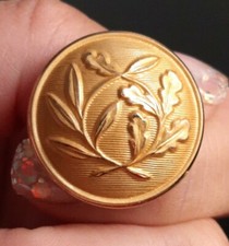 N0701 bouton d'uniforme de préfet 25mm doré militaire militaria par TW&W Paris 