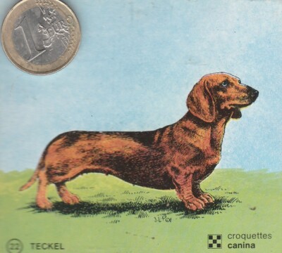 C44ani. animals. dog. CANINA. DACHSHUND. Vignette No. 22
