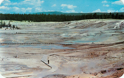#ad Norris Geyser Basin in Yellowstone National Park 3.5x5.5 Postcard A1 $4.99