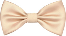 Bow Ties for Boys Pre Tied Toddler Bow Tie Adjustable Kids Bowties for Wedding P
