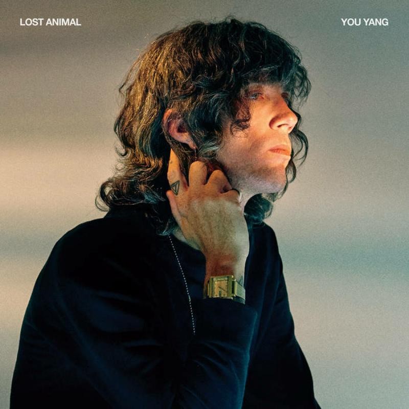 Lost Animal You Yang LP Vinyl NEW