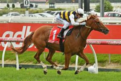 THE ZONE HORSE RACING SYSTEM