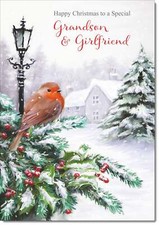 Doodlecards Grandson & Girlfriend Christmas Card Robin in Winter Scene
