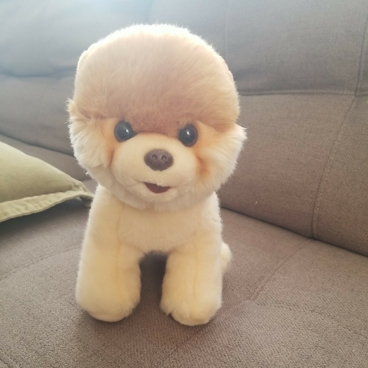 sweet GUND BOO The Worlds Cutest Dog 9