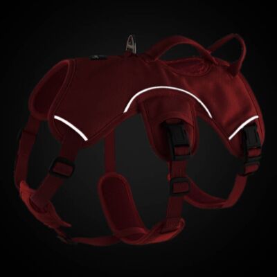 3-Point Anti-Escape, Anti-Pull Harness Ideal For Sighthounds