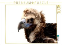Calvendo Puzzle Vulture Portrait | 1000 Pieces, Finished Size 25.2 × 18.9 In (64