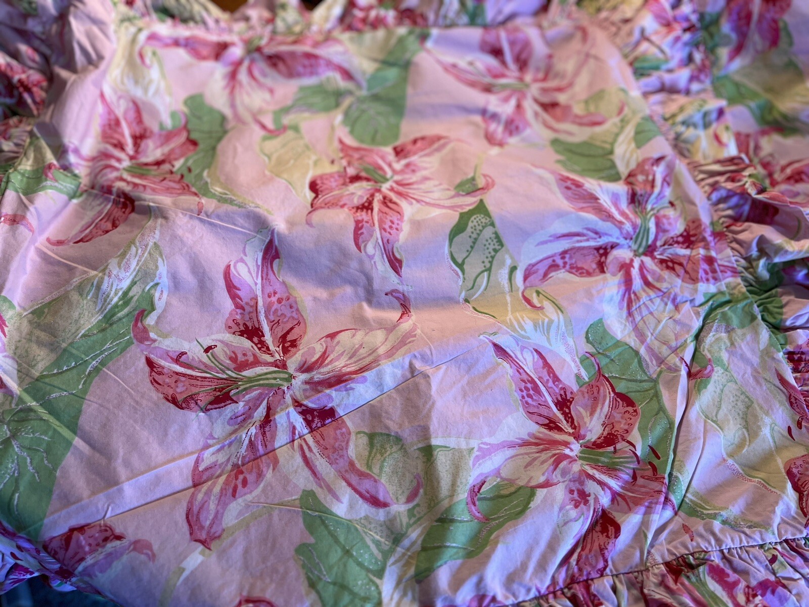 Foto 2 di 6