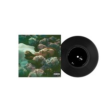 LANA DEL REY - Flipside/Is This Happiness 7" Vinyl (RARE!)