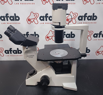 Olympus Optical CK40-F100 Inverted Microscope