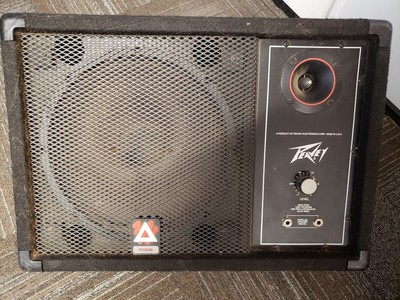 peavey 112m floor monitor