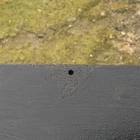 Picture 4 of 6