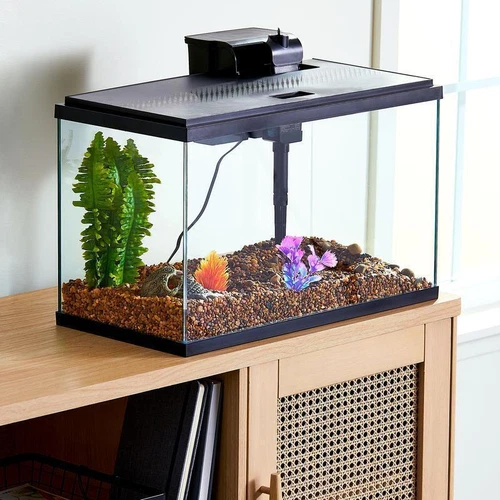 US 10 Gallon Glass Aquarium Starter Kit LED Lighting Filtration System Fish Tank - Picture 3 of 8