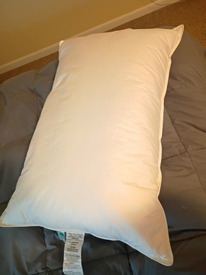 OEKO-TEX Bed Pillow 100% Goose Feather Fill Cotton Cover White 20 x 30 in
