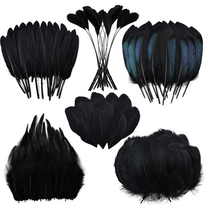 Black Craft Feathers Bulk - 180pcs 6 Style Mixed Natural Feathers for Wedding...