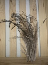 25 Emu Feathers Double Plumed Craft Projects ...