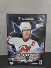 NHL Hitz 20-02 (Nintendo GameCube, 2001) CIB Complete In Box Tested And Working