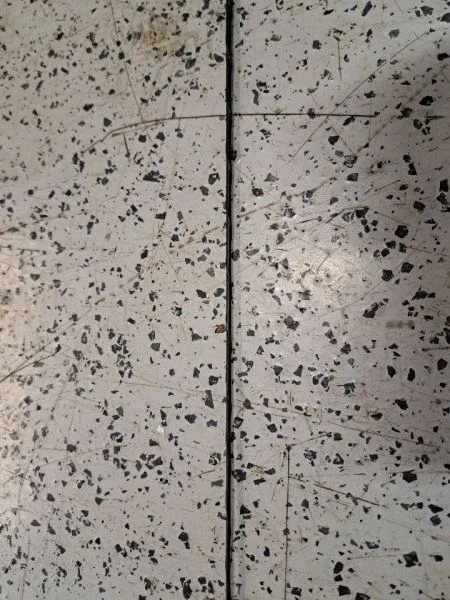 Mástil de antena para Ford Explorer 2009 Foto 3 de 4