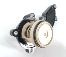 Thermostat Audi Q5