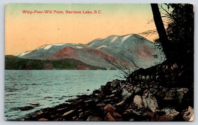 Whip-Poor-Will Point Harrison Lake BC Scenic View Vintage Postcard