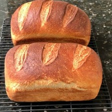 OREGON TRAIL - SOURDOUGH Starter DEHYDRATED "Carl" Sour - 15 Gram Bag