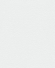 Erismann Vliestapete ModeRolle 11115 / 1111-5