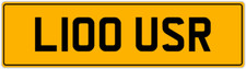 LOUISE LUIS LOUIS LOUIE LOU LOOE LU LOO LOOE PRIVATE REGISTRATION PLATE L100 USR