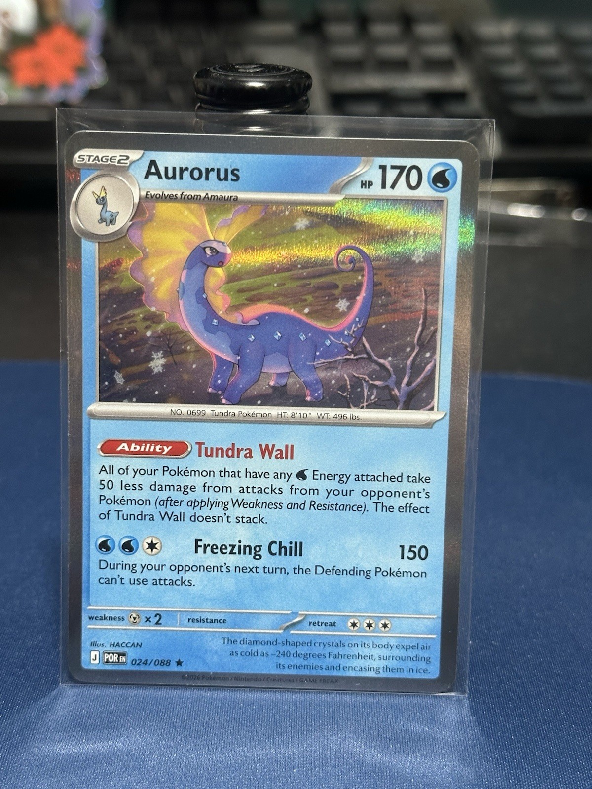 Aurorus 024/088 - Holo Rare - Pokémon TCG: Perfect Order - English NM